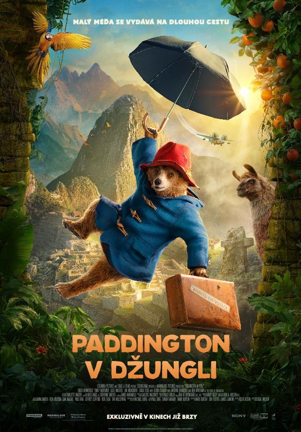 Paddington v džungli